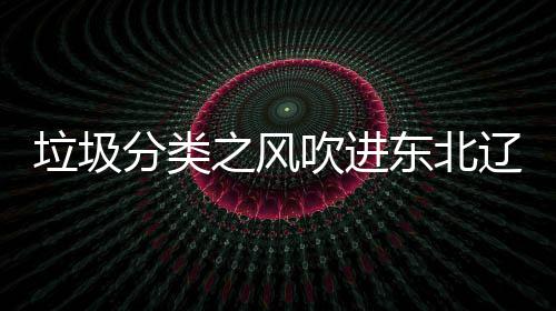 沈阳四分启用之风圾桶吹进分类东北垃圾辽宁类垃