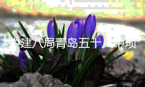 八局八中五十青岛全部中建主体封顶项目